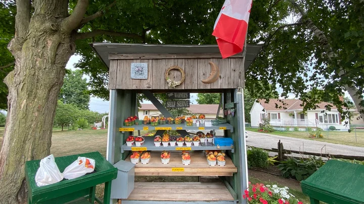Photo of Roadside fruit stands through the Fruit Belt