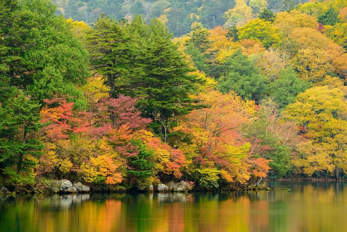 Yumoto in Nikko, Tochigi | What to Know Before You Go
