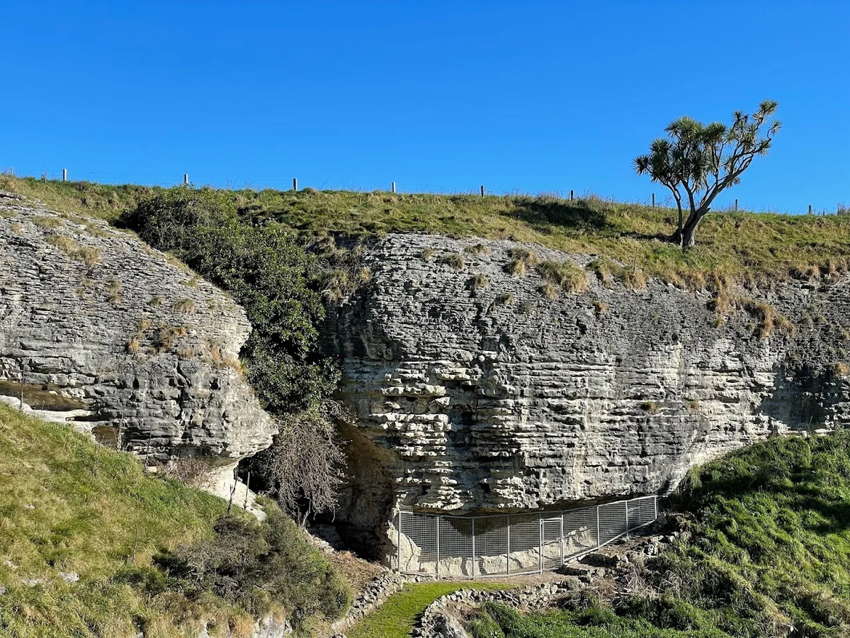 Te Manunui Maori Rock Drawings in Pareora | Ask Anything