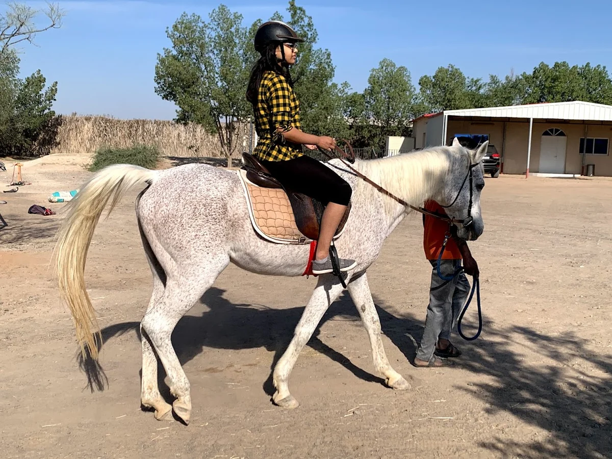 Rahal Ranch in Abu Dhabi | What to Know Before You Go