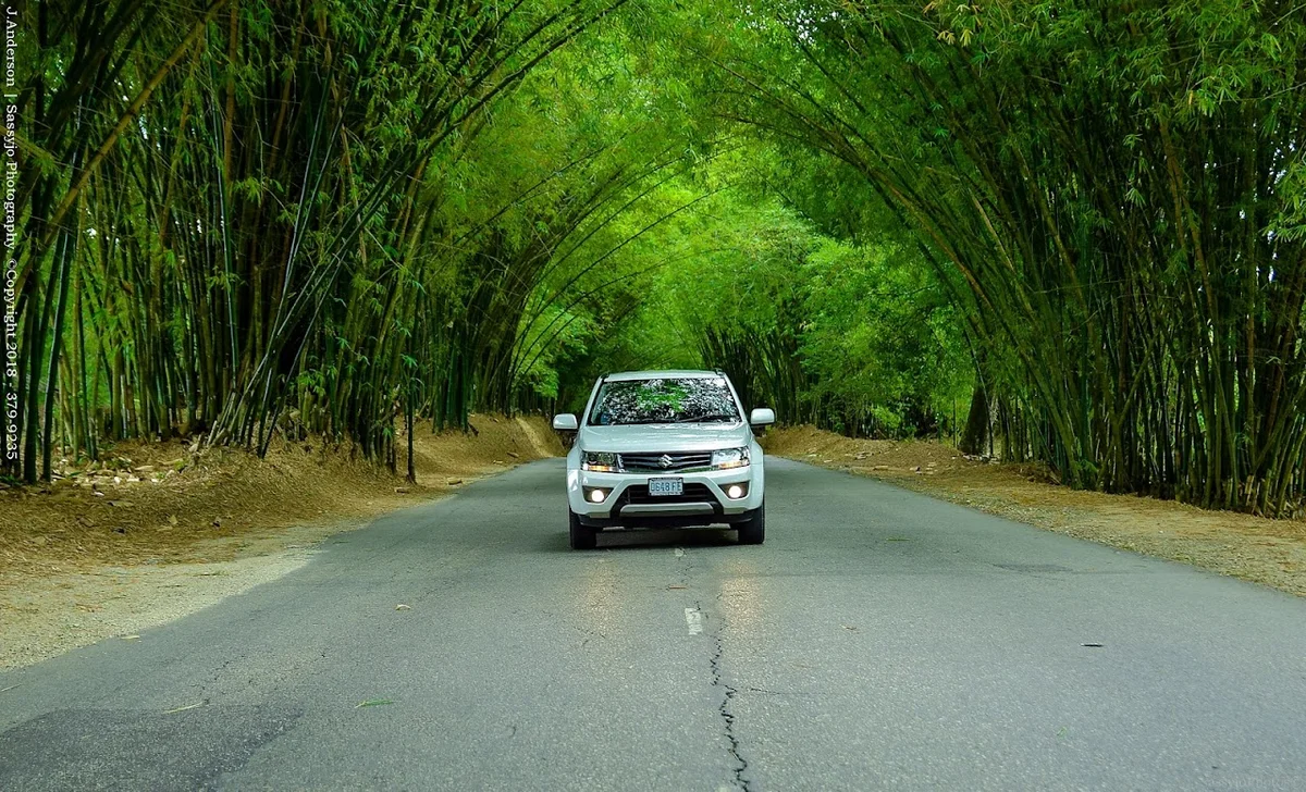 Island Car Rentals in Kingston - Ask AI | mindtrip
