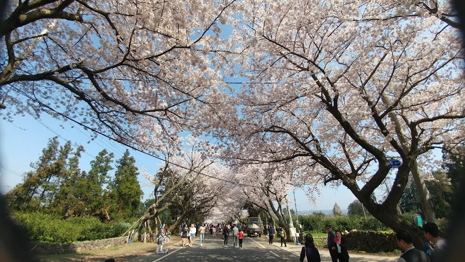 Jangjeon-ri in Jeju | What to Know Before You Go