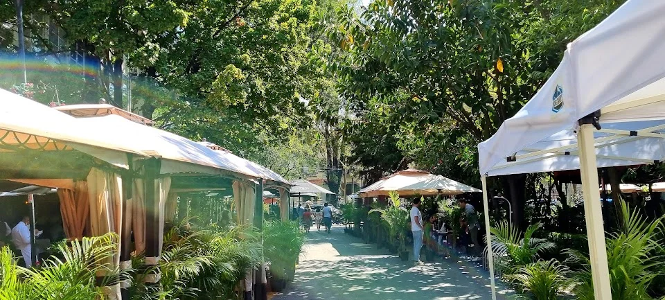 Polanquito in Mexico City | What to Know Before You Go