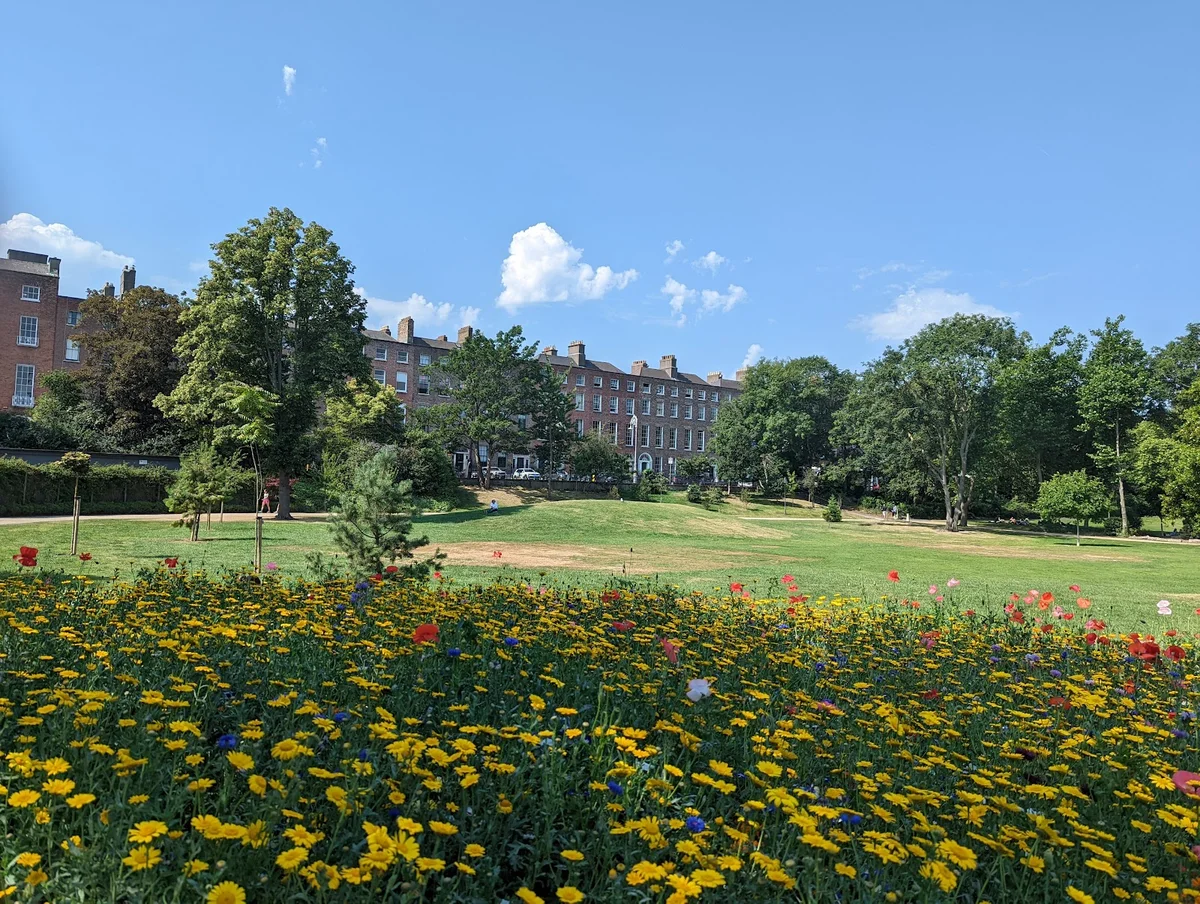 Merrion Square in Dublin - Ask AI | mindtrip