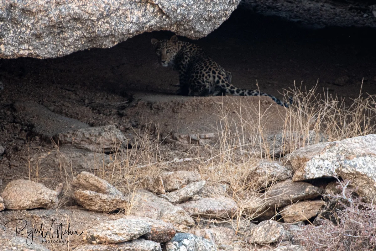 Bera in Rajasthan, India | What to Know Before You Go