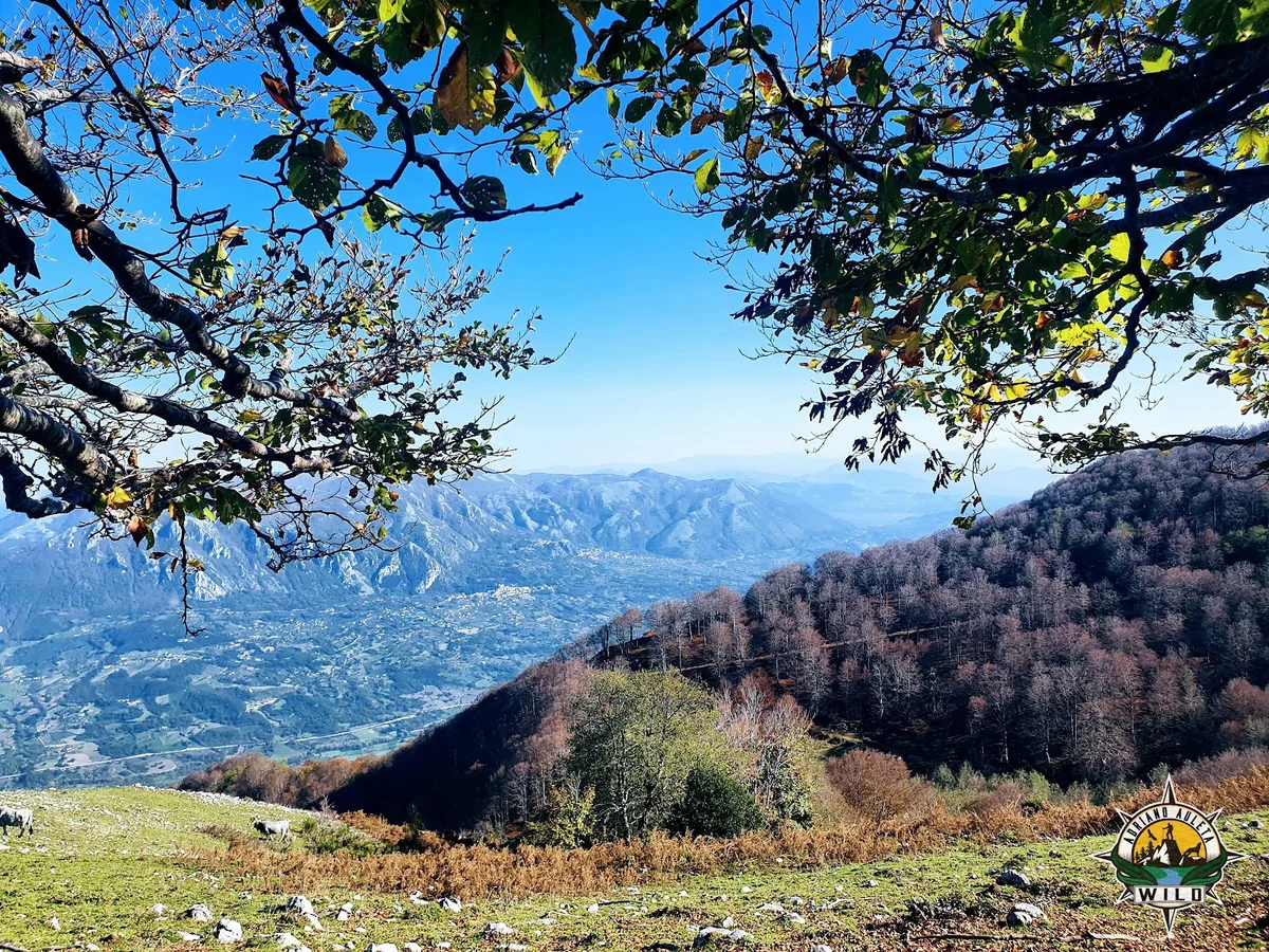 Calabritto in Campania, Italy - Ask AI | mindtrip