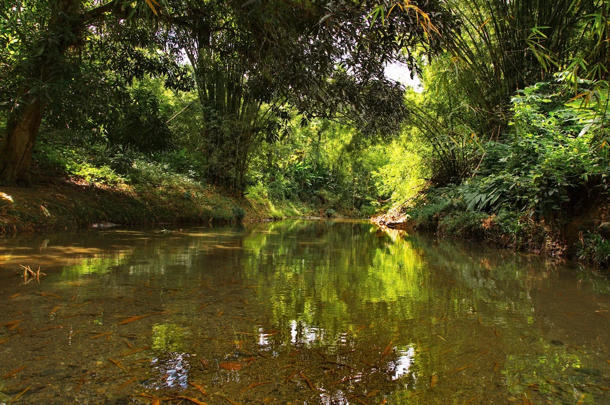 Things to do in Moriah | Explore with AI