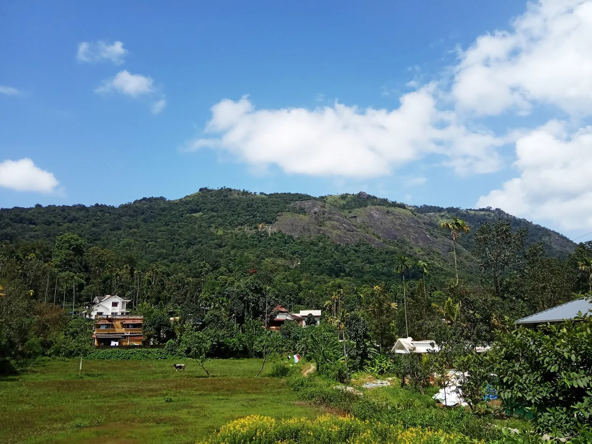 Meppadi in Kerala, India | What to Know Before You Go