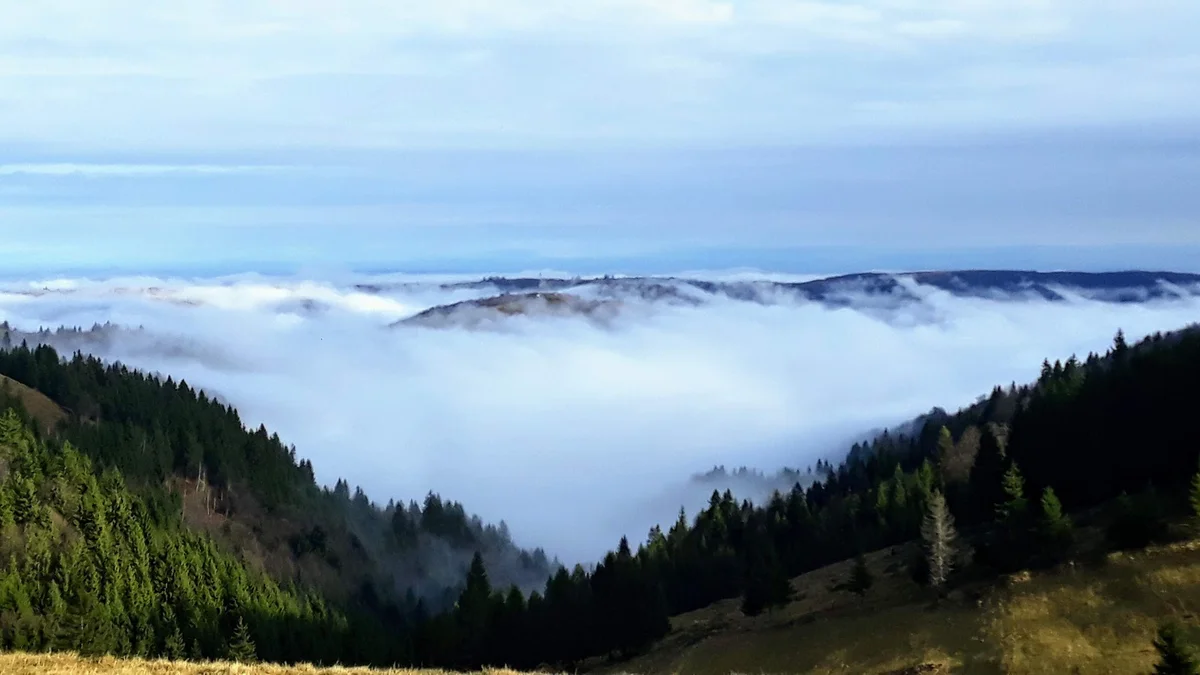 Marisel in Transylvania, Romania - Ask AI | mindtrip