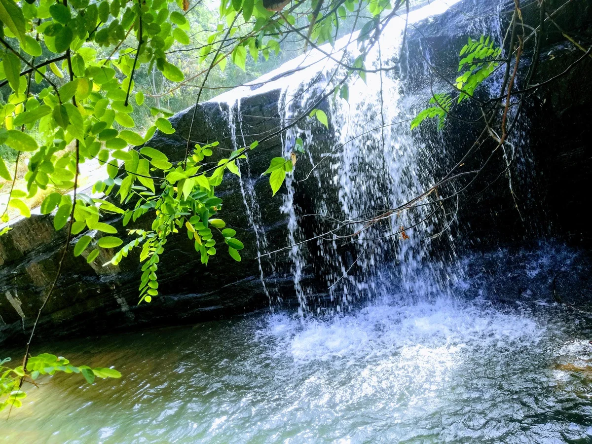 Gelioya in Gelioya | What to Know Before You Go