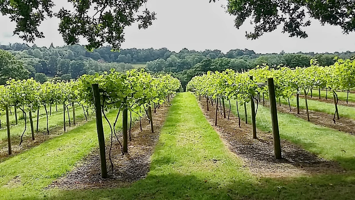 Chiddingstone Hoath in Kent, England - Ask AI | mindtrip