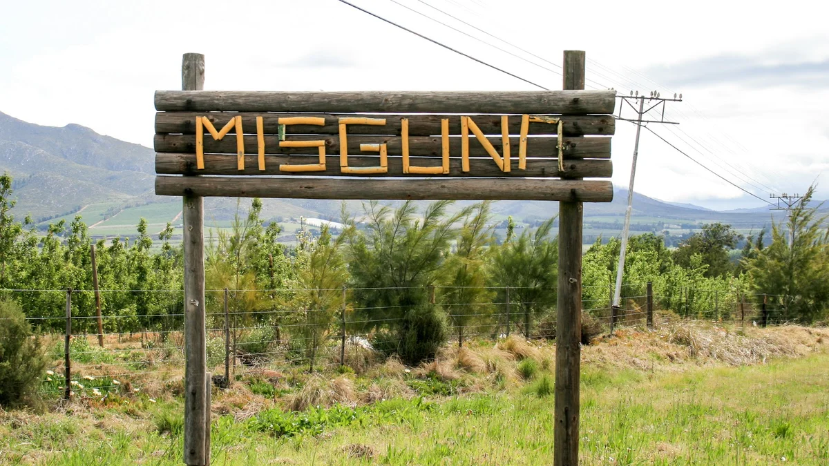 Misgund in Misgund | What to Know Before You Go