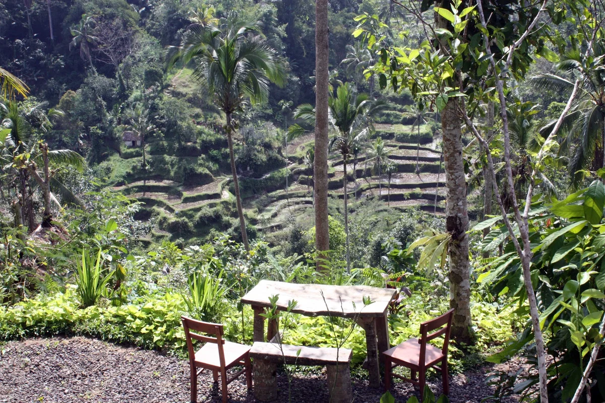 Sebatu in Bali, Indonesia | What to Know Before You Go