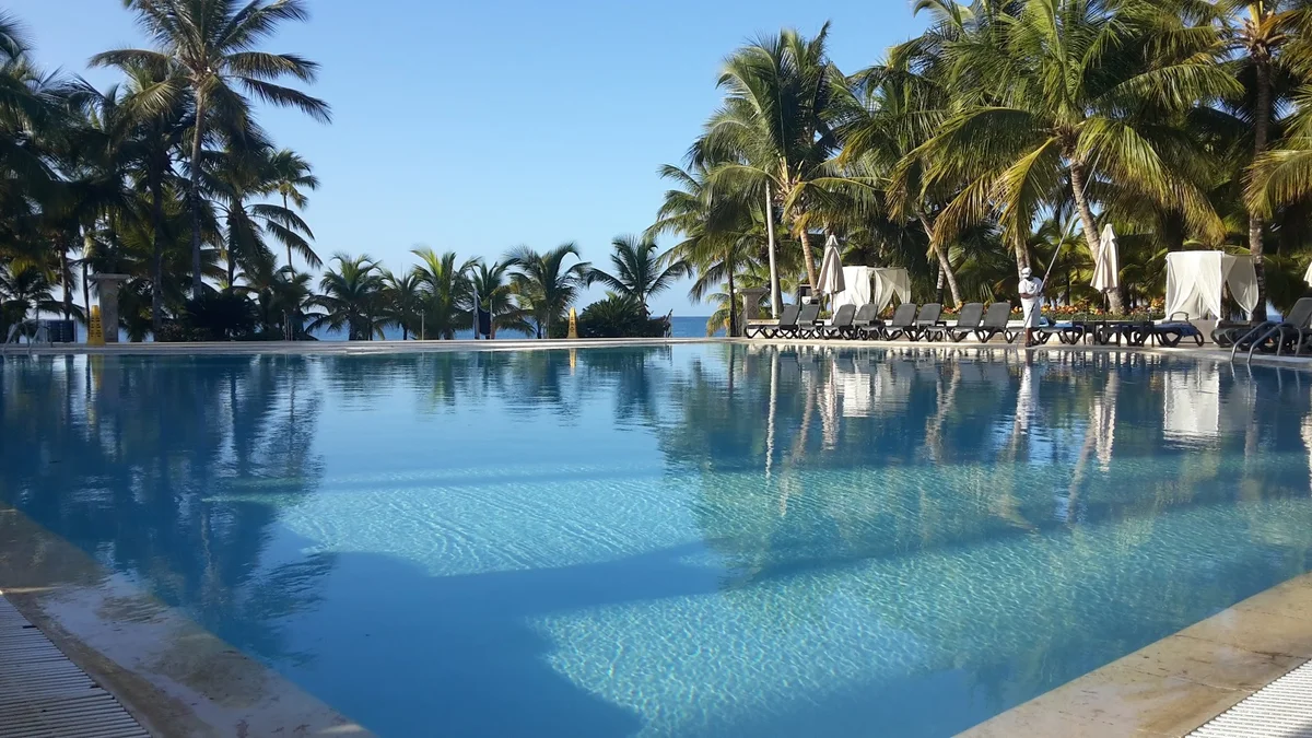 Dominicus in Dominicus - Ask AI | mindtrip