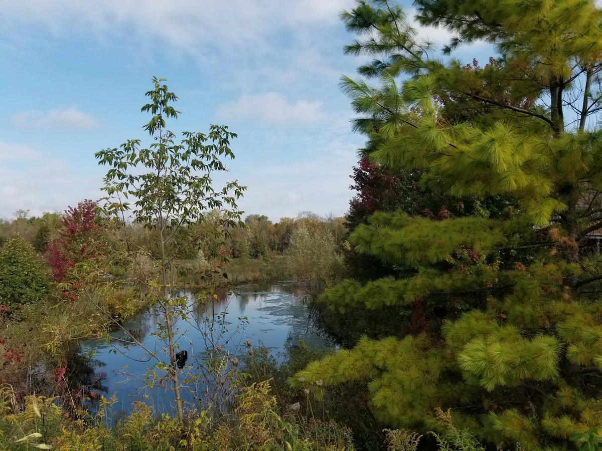 Mount Albert in Ontario, Canada | What to Know Before You Go