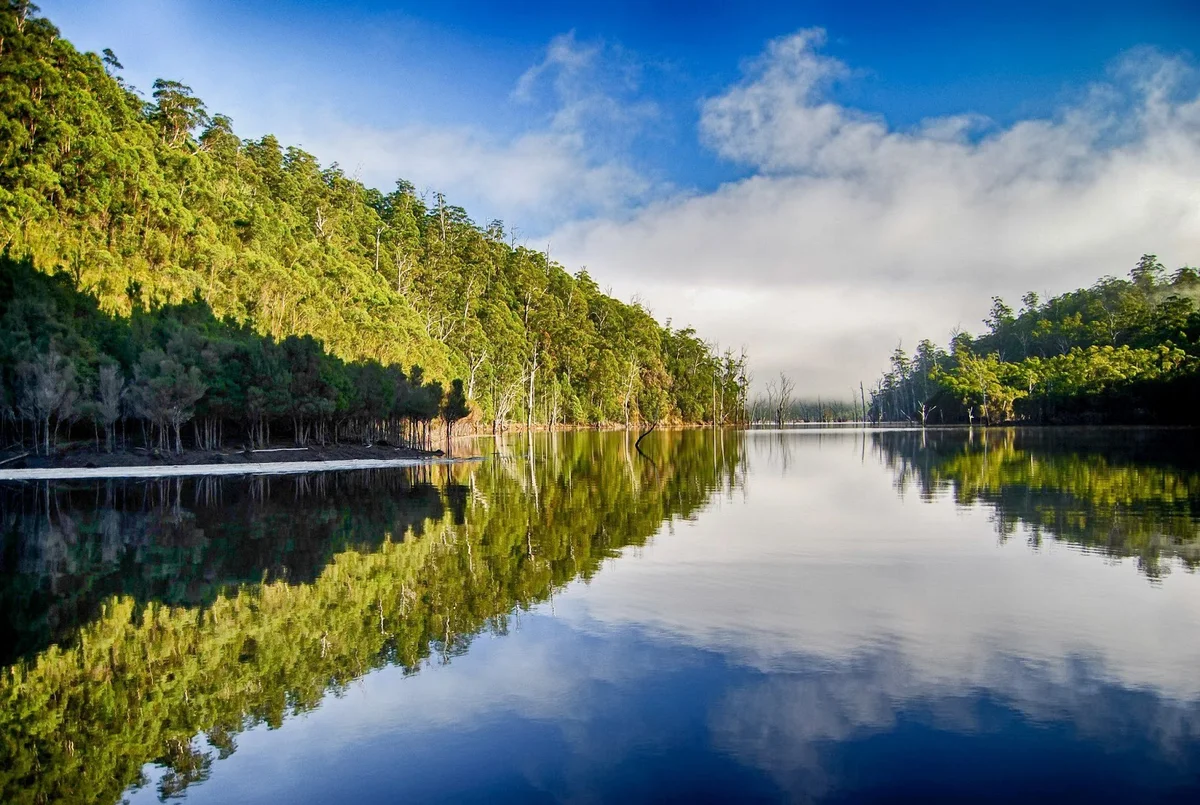 Tullah in Tasmania, Australia | What to Know Before You Go