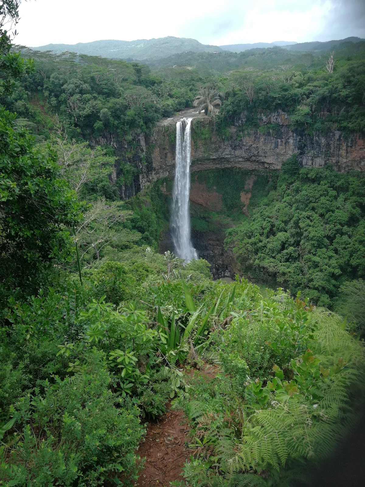 Curepipe in Curepipe | What to Know Before You Go
