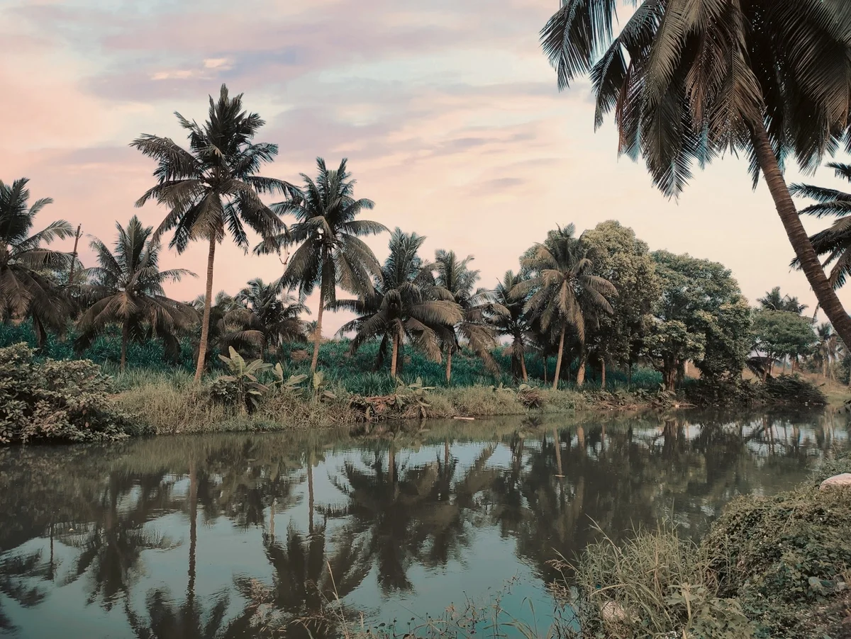 Ravulapalem in Ravulapalem | What to Know Before You Go