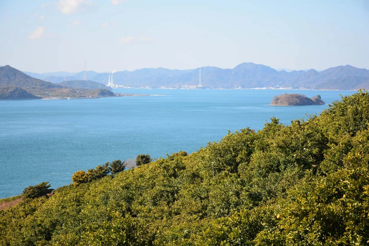 Setouchi in Setouchi | What to Know Before You Go