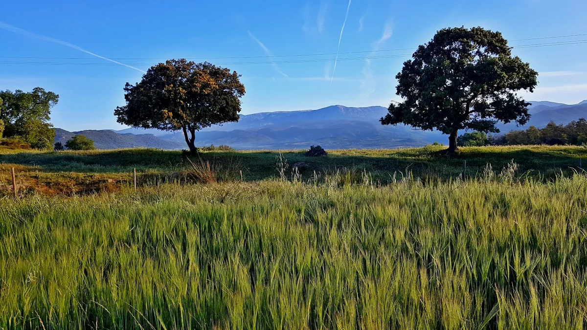 Things to do in Olius Catalonia, Spain | Explore with AI