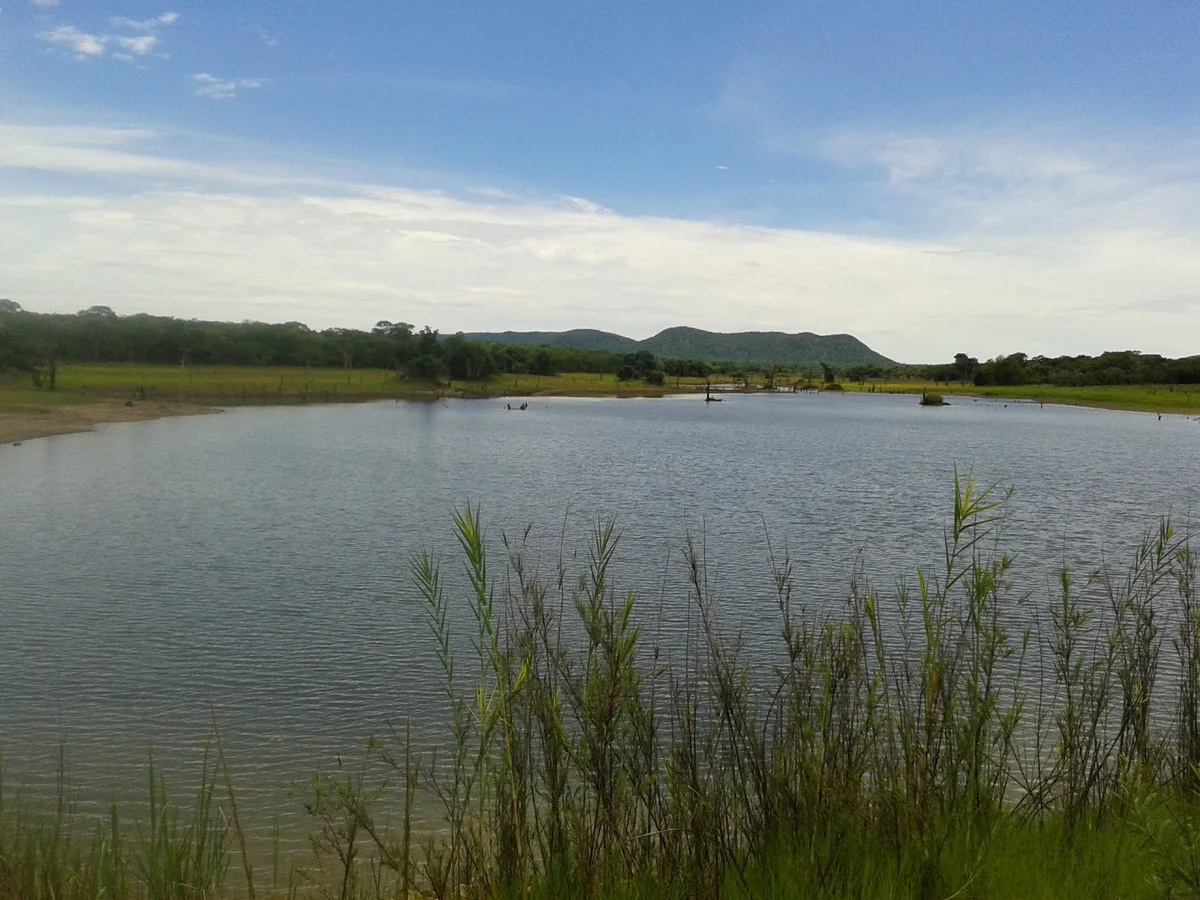 Mkushi in Central Province, Zambia - Ask AI | mindtrip
