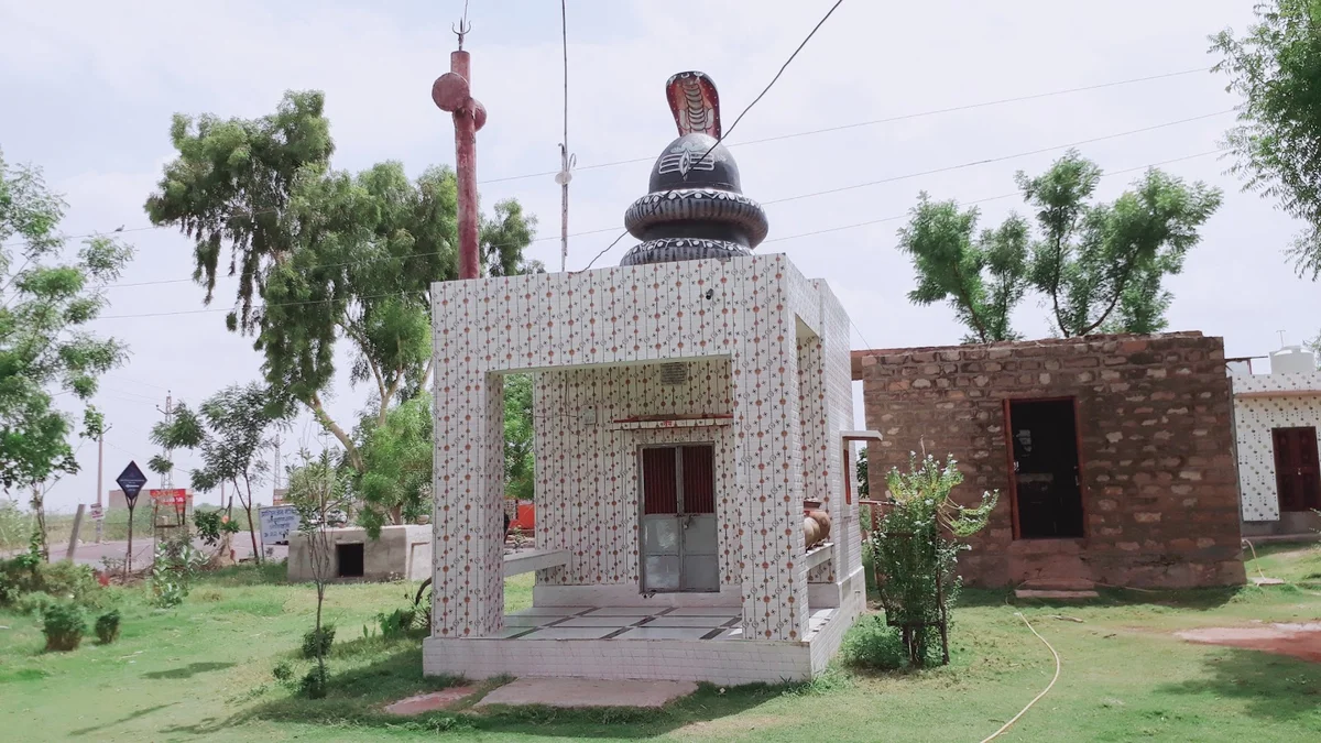 Things to do in Mathaniya Rajasthan, India | Explore with AI
