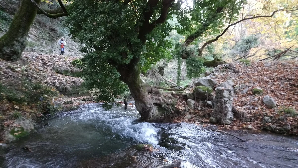 Planitero in West Greece, Greece - Ask AI | mindtrip