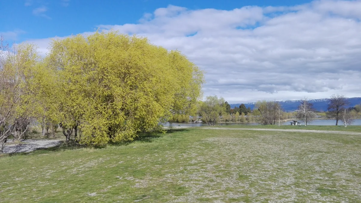 Things to do in Lowburn | Explore with AI