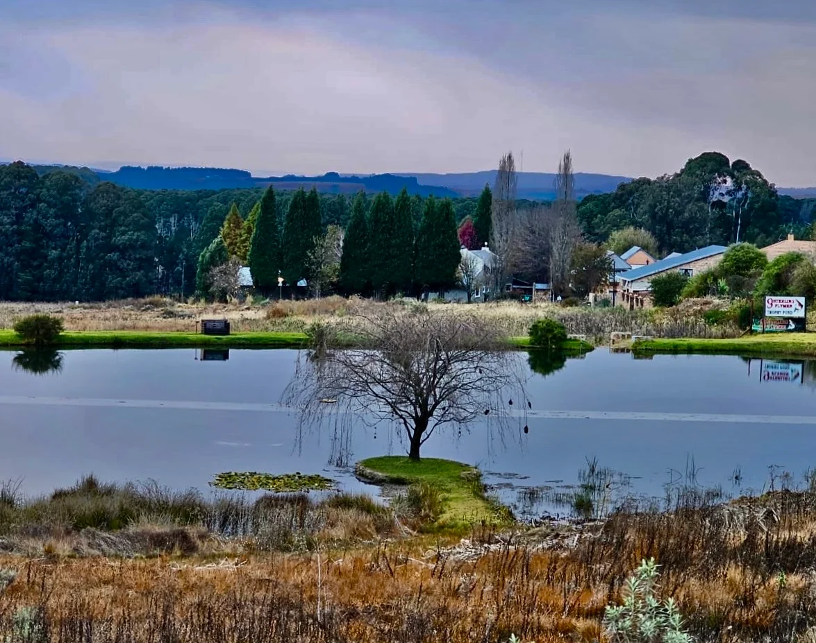 dullstroom-in-mpumalanga-south-africa-ask-ai-mindtrip