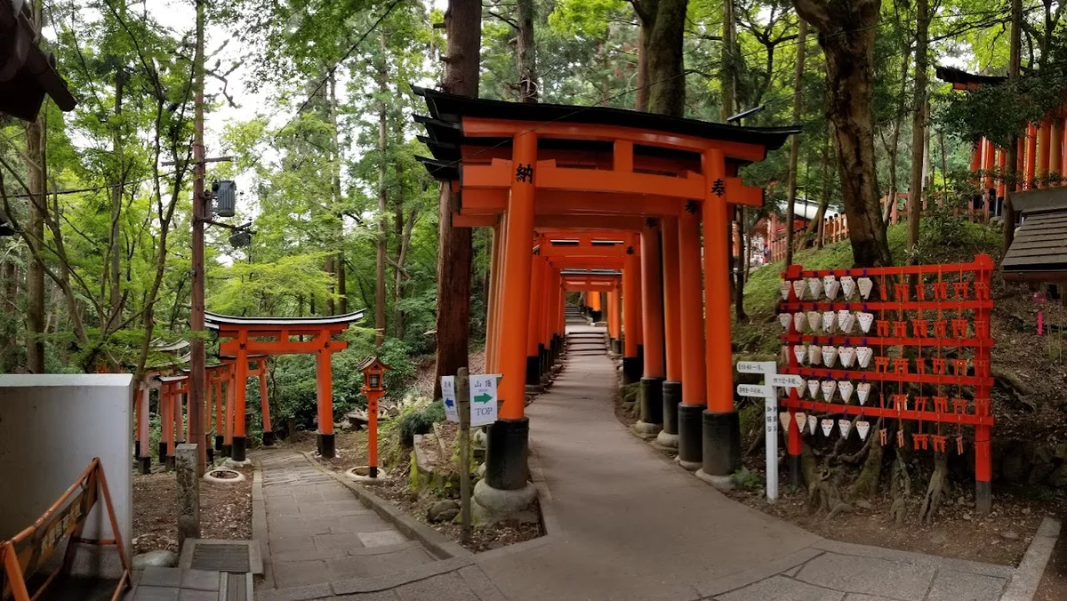 Fushimi Inari Pathway in Kyoto | What to Know Before You Go