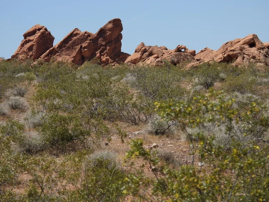 Heart Arch in Nevada - Ask AI | mindtrip