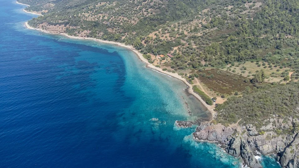 ΠΑΛΙΟΥΡΙ - ΠΕΡΙΟΧΗ ΑΥΛΑΚΙ in Paliouri - Ask AI | mindtrip