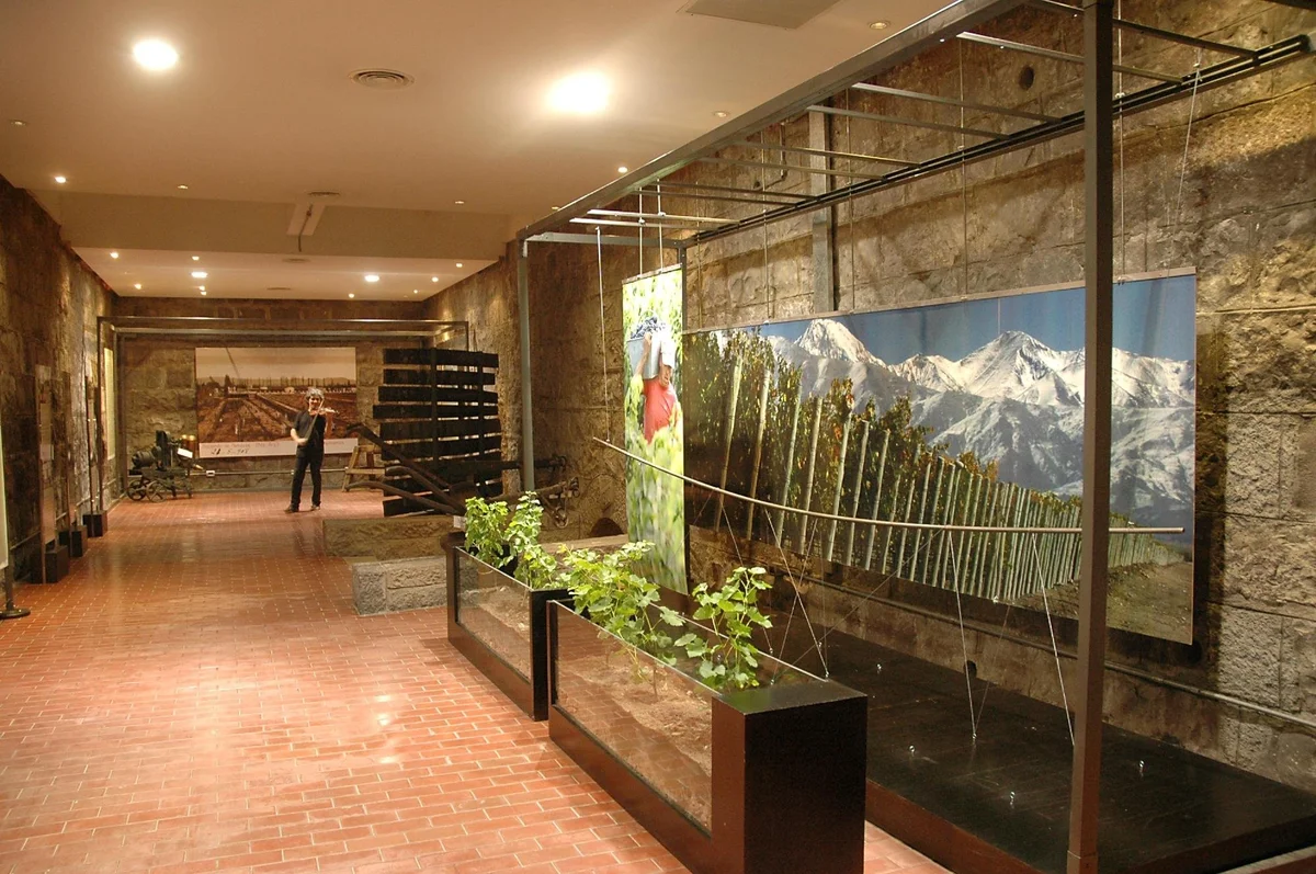 La Enoteca - Centro Temático del Vino - Ask AI | mindtrip