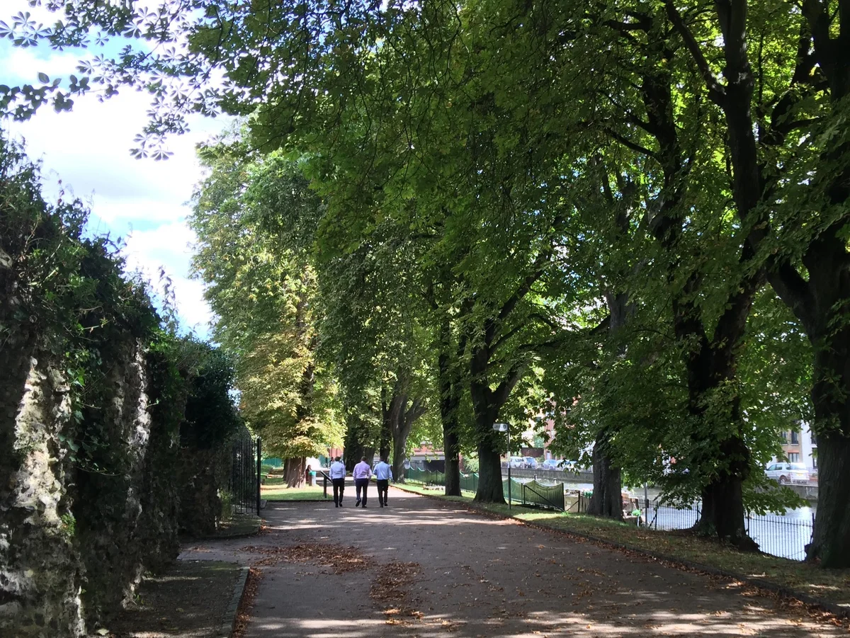 Chestnut Walk in Reading | What to Know Before You Go