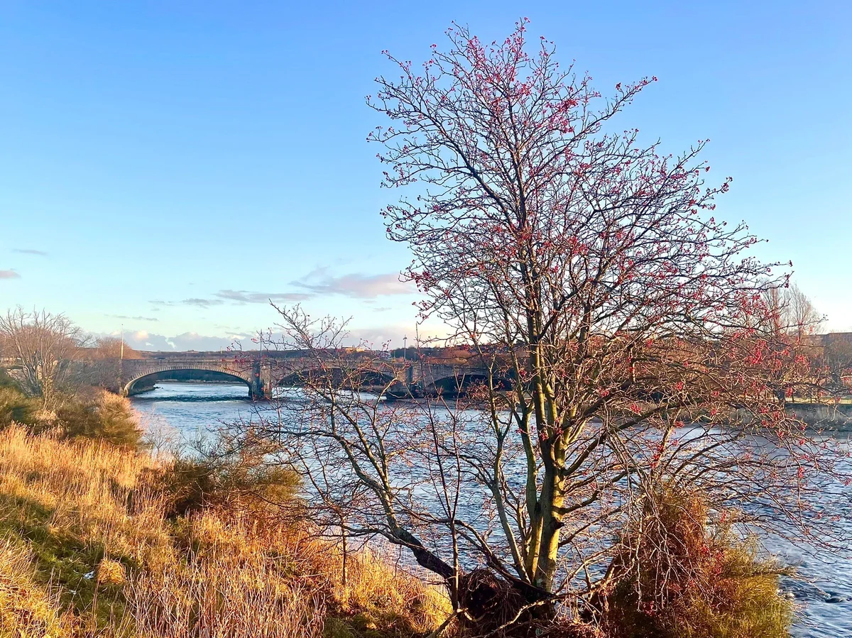 King George VI Bridge | What to Know Before You Go