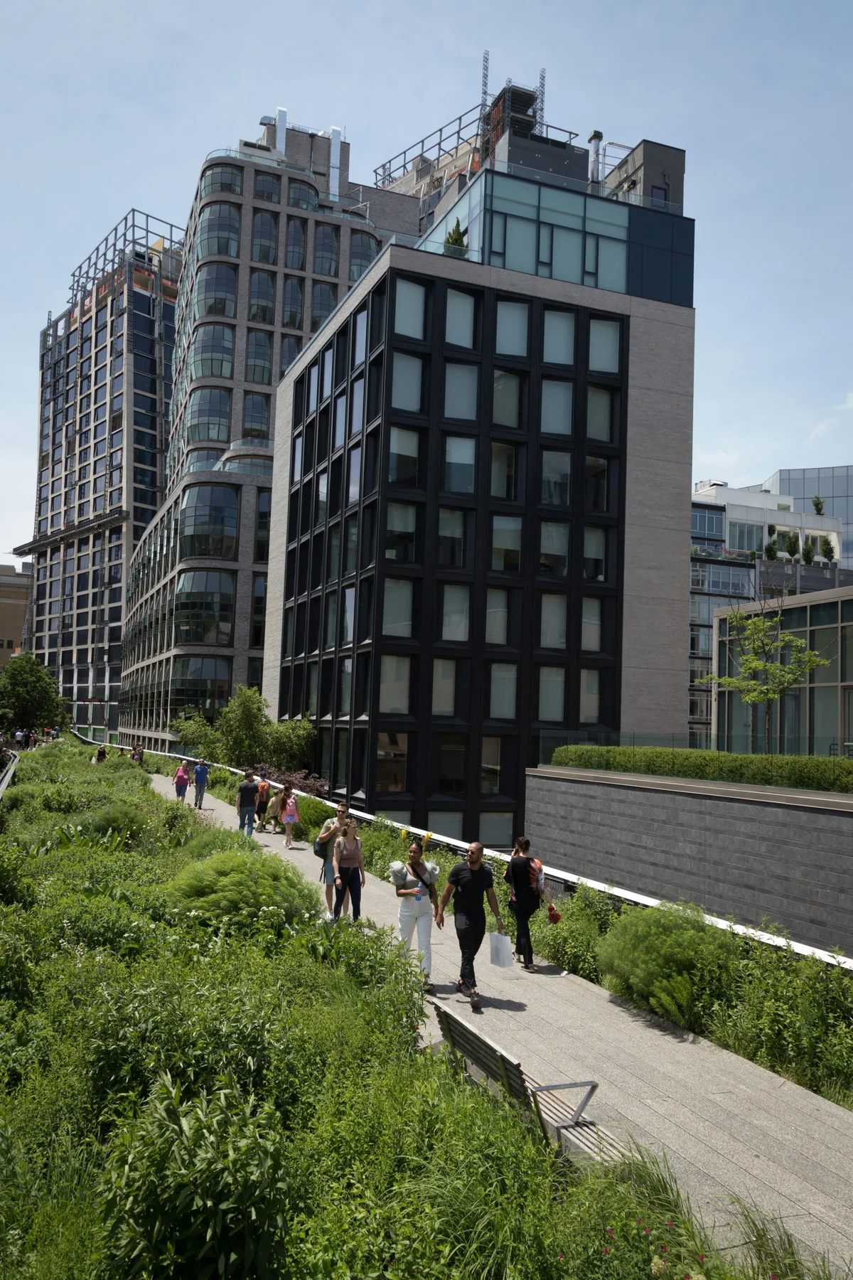 The High Line in New York City | What to Know Before You Go