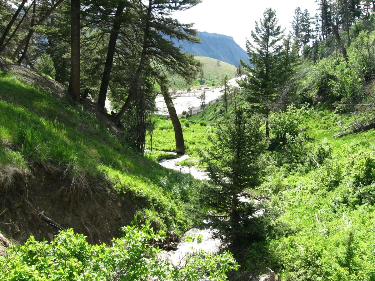 Beaver Ponds Loop Trail | What to Know Before You Go