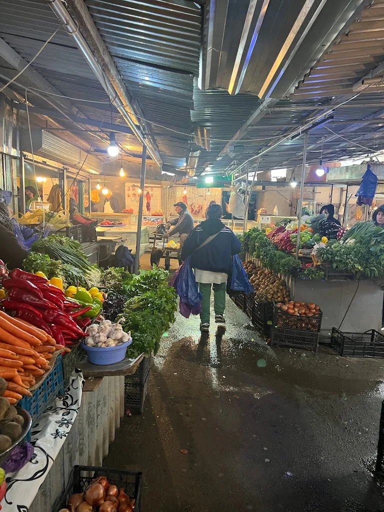 Samgori in Tbilisi | What to Know Before You Go