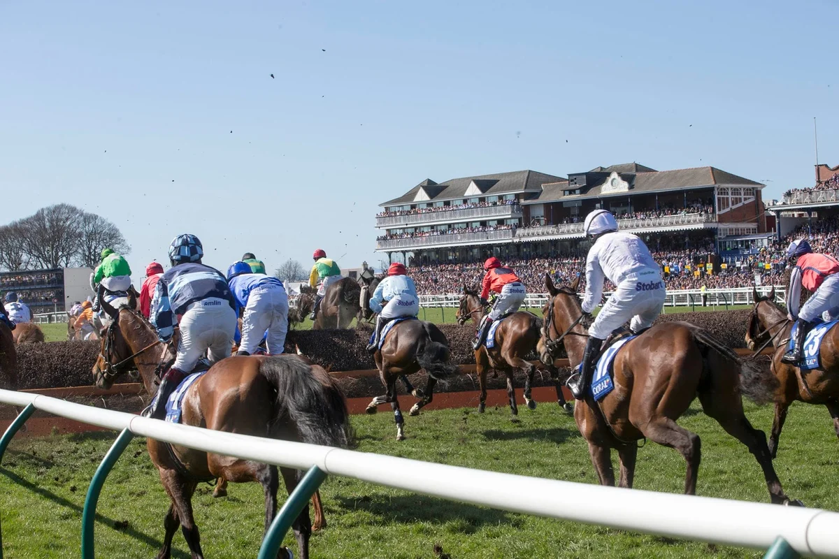 Ayr Racecourse in Ayr, Scotland - Ask AI | mindtrip