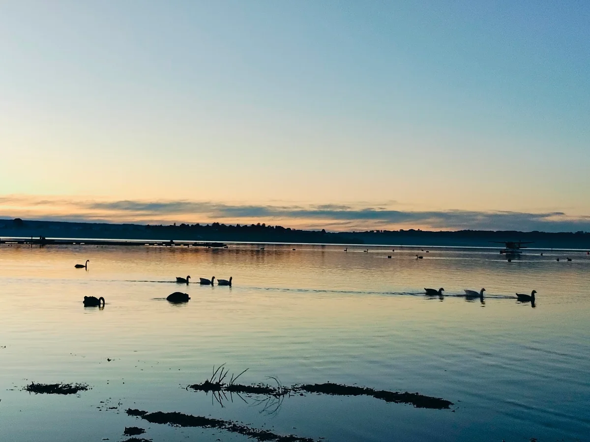 Lake Rotorua in Rotorua | What to Know Before You Go