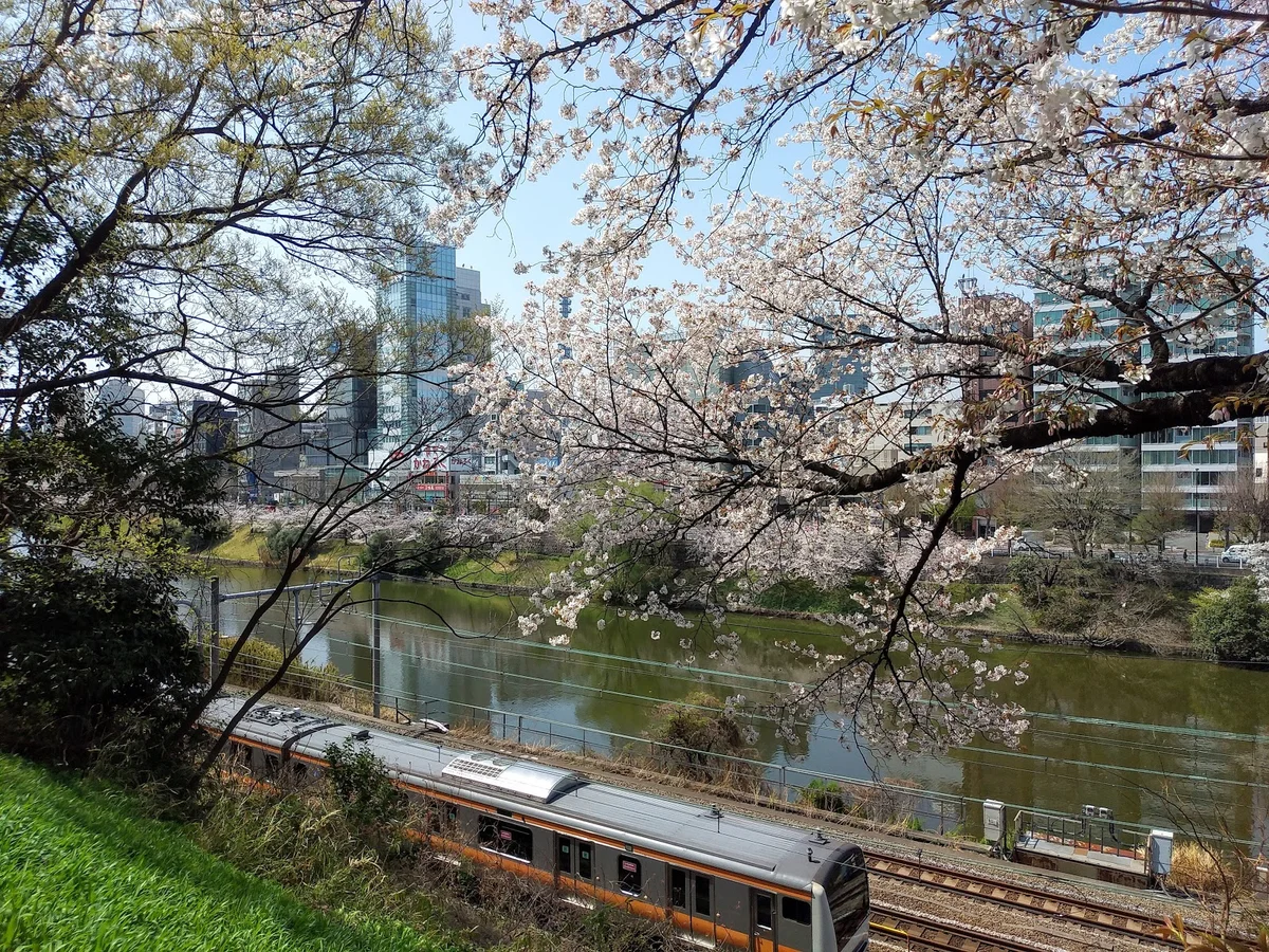 Edo Castle Outer Moat trace | What to Know Before You Go