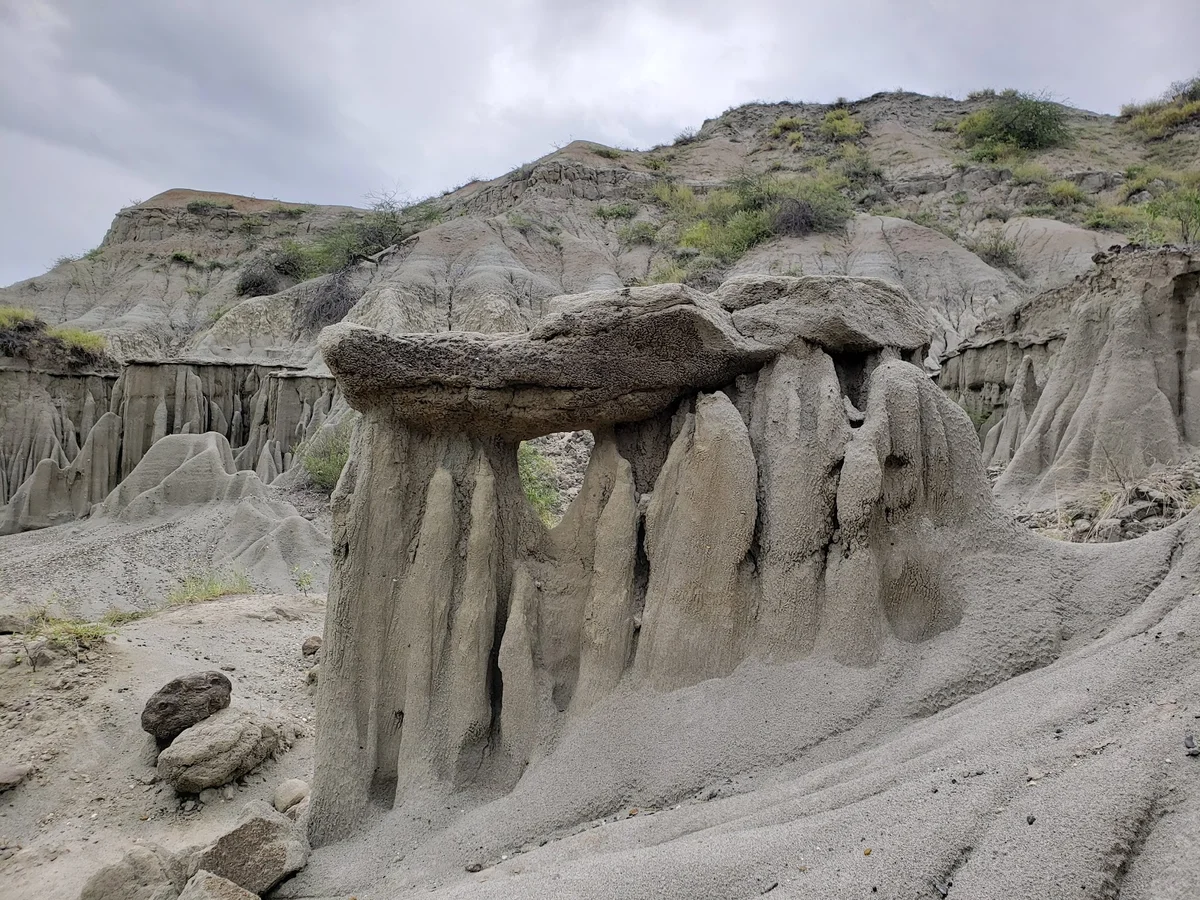 Valle De Los Xilópalos | What to Know Before You Go