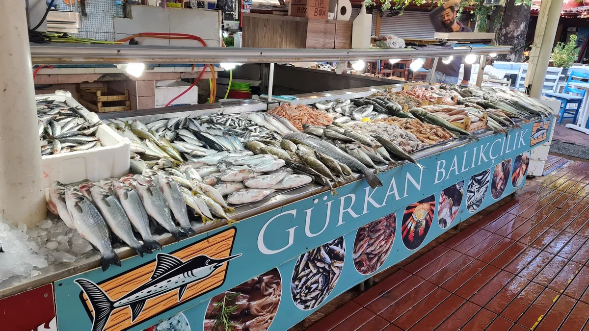 ・ Market・２２×２０×１５・ ・Fish