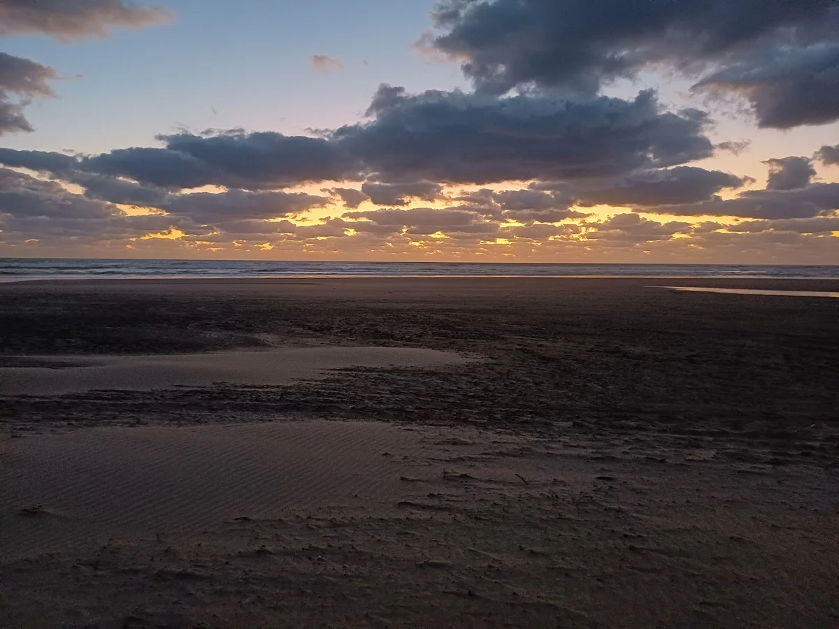 Baylys beach in Dargaville, Northland - Ask AI | mindtrip