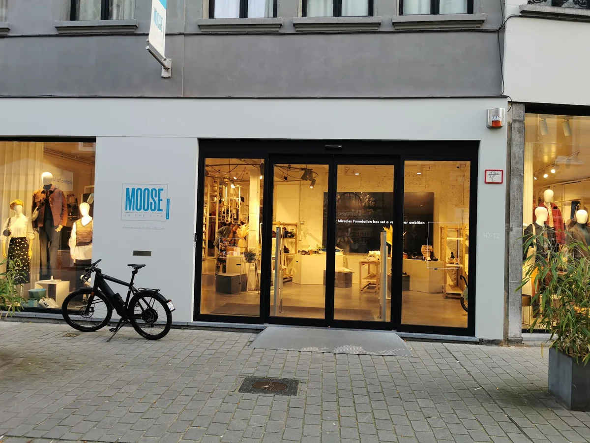MOOSE in the CITY in Antwerp, Vlaanderen | Ask Anything