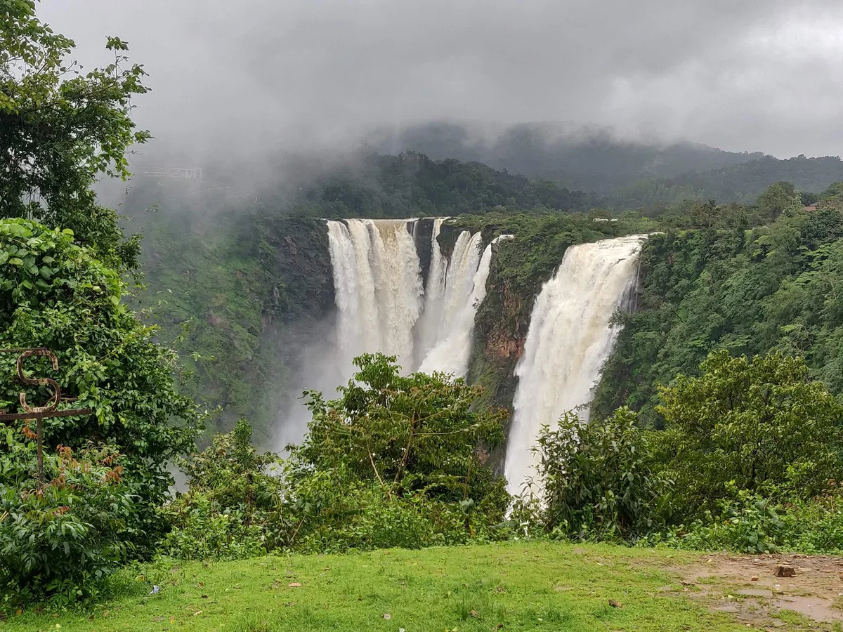 Sharavati Valley Wildlife Sanctuary - Ask AI | mindtrip