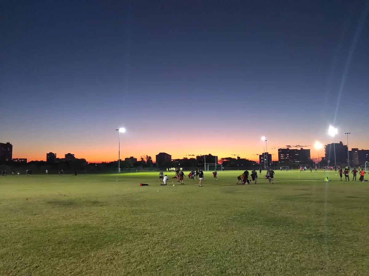 Hamilton Rugby Club in Cape Town - Ask AI | mindtrip
