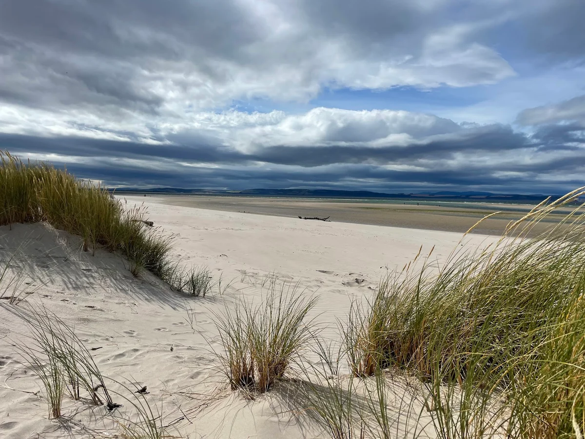rspb-culbin-sands-in-nairn-scotland-ask-ai-mindtrip