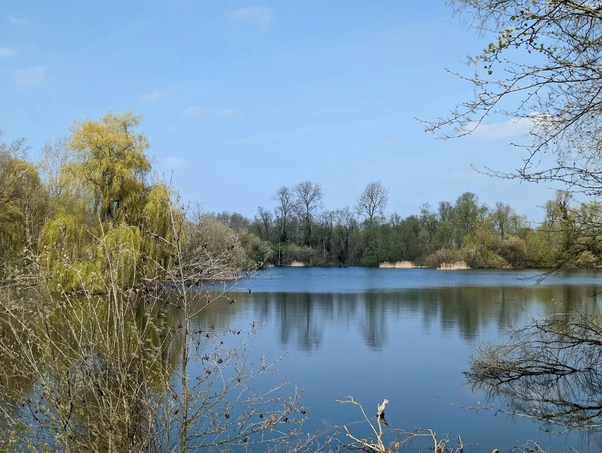 Paxton Pits Nature Reserve | What to Know Before You Go