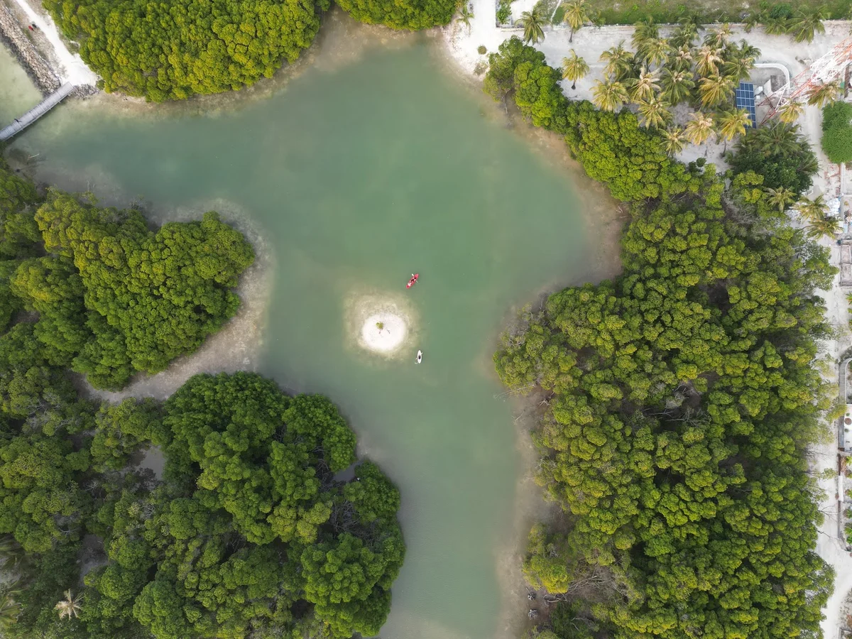 Huraa Mangrove ( Kandoofaa) | What to Know Before You Go